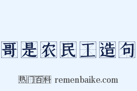 哥是农民工造句是什么意思的图片